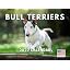 Bull Terrier