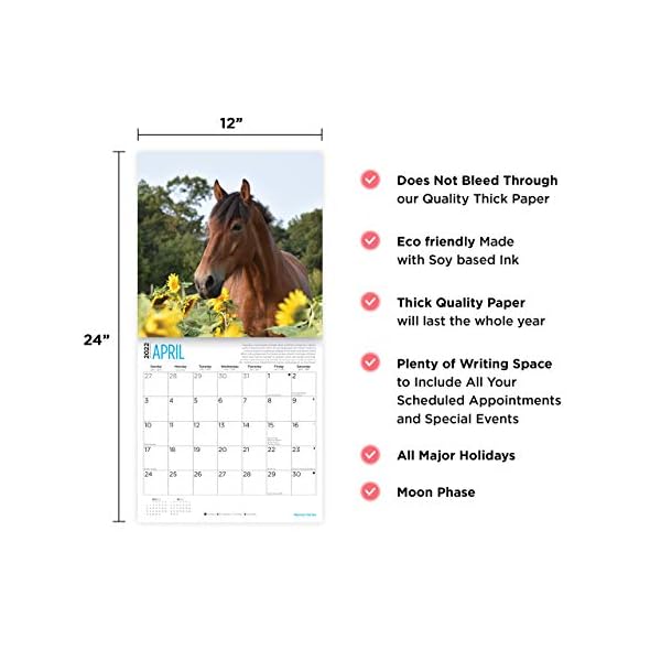 Bright Day 2022 Rettungspferde Wandkalender 30,5 x 30,5 cm, niedliche Bauernhoftiere Kalender für eine Sache – Bild 4