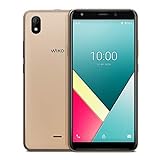 WIKO Y61 Smartphone, 6 Zoll (15,24 cm), 4G, Dual SIM, Android 10 inkl. Soft Case & Schutzfolie, Gold [Deutsche Ware]