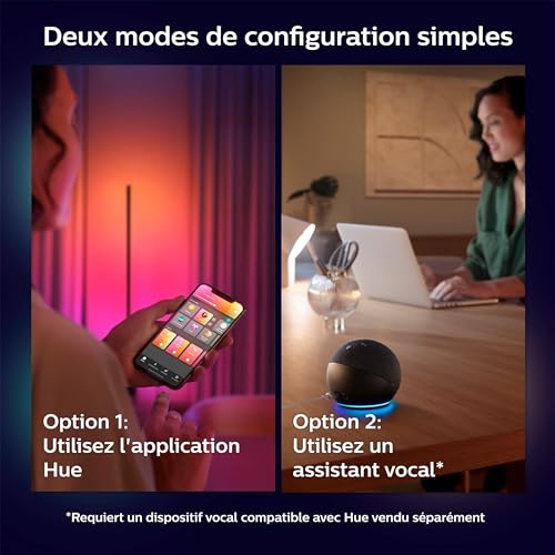 Philips Hue White and Color Ambiance, Lampadaire Gradient Signe Noir, Lampe sur pied avec Bluetooth, Luminaire compatible avec Alexa, Google Assistant et Apple Homekit
