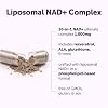 Micro Ingredients Complejo Liposomal NAD+ 1,000 mg por Porción, 60 Cápsulas | 10 en 1 con Resveratrol, Glutatión, ALA y Astaxantina. Alternativa al Suplemento NMN para Mujeres y Hombres. Vegetariano, No GMO. Cápsula 60 Unidades (Paquete de 1) 6
