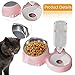 Baoblaze Double Cat Bowls Raised Cat Dish with Automatic Water Bottle,15°Tilted,2 in 1,Pet Feeder,Pet Food Water Bowl for Puppy Kitten, Pink