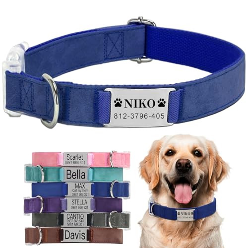 Collare Cane Personalizzato Con Nome - Targhette Con Nome Incise Personalizzate, Collari Comodi e Unici, Adatti a Cani e Gatti Di Piccola, Media e Grande Taglia.(L,Blu)
