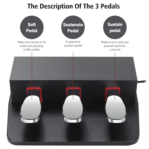 Zreephy 3-Pedal For Digital Keyboards Pianos,Three Foot Pedal Unit Compatible With Yamaha P223, P145 Electric Digital Pianos by Zreephy - Image 3