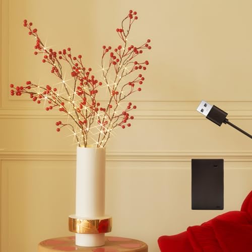 Birchlitland Red Berries Branch Lights Battery Powered with Timer for Christmas Party Decor Artificial Willow Twigs with Lights 32IN 80 LED