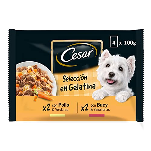 Cesar Comida Húmeda para Perros, Selección Carnes Mixtas en Gelatina, Multipack (13 Packs x 4 Bolsitas x 100g)