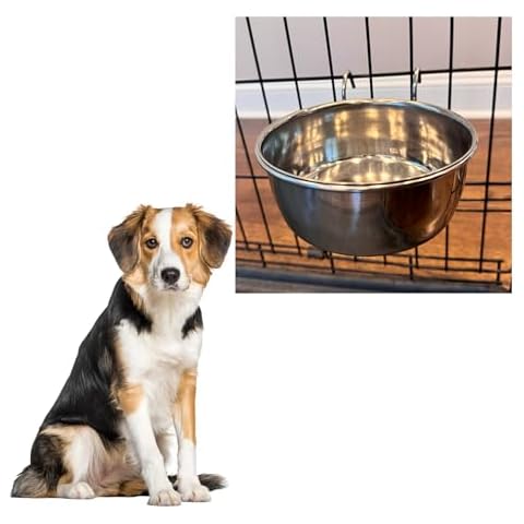 SPOT Stainless Steel Coop Cup for Pets Cover