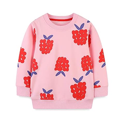 Ysoea Toddler Girl Graphic Sweatshirt Kids Crewneck Rainbow Grape Print Hoodie Fall Birds Flowers Applique Pullover Knit Tops Cover