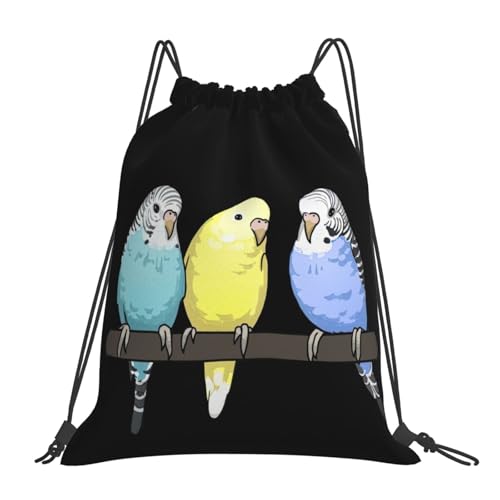 [Raysent] �i�b�v�T�b�N �Z�L�Z�C�C���R ���� �v�[���o�b�O ���j�o�b�O ��e�� �y�� ������� ���[�֗� ���j ���� �^�� ���� ���s �j�����p