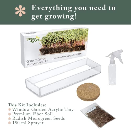 Window Garden Microgreens Grow Kit - Includes Microgreen Seeds, Fiber Soil, Acrylic Growing Tray, Sprayer - Fresh Organic Greens - Window To Table Superfood, Non Gmo Microgreen - Live Indoor Planting #TOP7