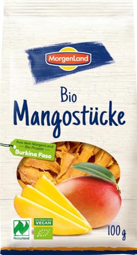 Morgenland Bio Mangostücke (1 x 100 gr)