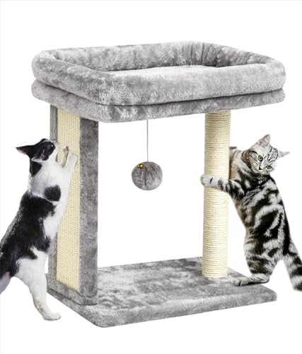 SYANDLVY Cat Tree with Scratching Post for Indoor Cats, Scratching Board with Perch, Cat Post Scratcher with 2 Dangling Balls, Great for Kittens, Grey