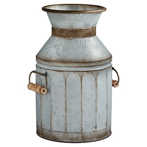 Amazon Brand - Stone & Beam Vintage Rustic Farmhouse Galvanized Metal Milk Jug Home Decor Planter Vase, Grey, 7.5
