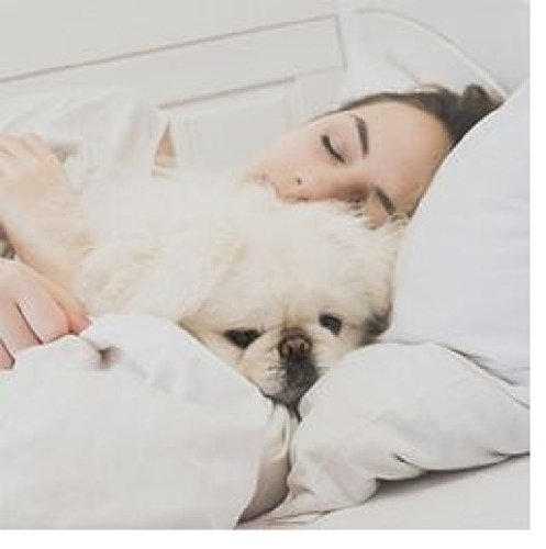 Simply Soft Ultra Soft Polkadot Patterned 3 Piece Duvet Cover Set, Queen, Gray #TOP4