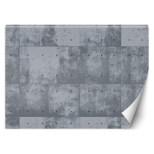 Feeby Fototapete Beton Nachahmung Textur 400x280 cm Grau XXL Vlies...