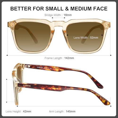 Image of CARFIA Retro Sunglasses for Men Polarized UV400 Protection, Hand-crafted Acetate, 60s Style Square Cool Sun Glasses