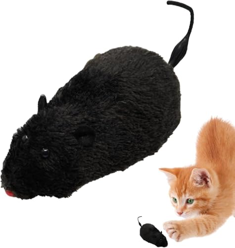 Zenarao Brinquedo para gatos, brinquedos de atividade para gatos para casa, brinquedo durável para a