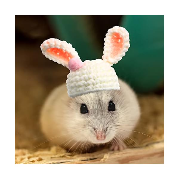 10 pcs hamster hat small animals cute tiny hat mini hand knitted hats for snakes pets bearded dragon guinea pig bunny costume accessories holiday parties - image 7