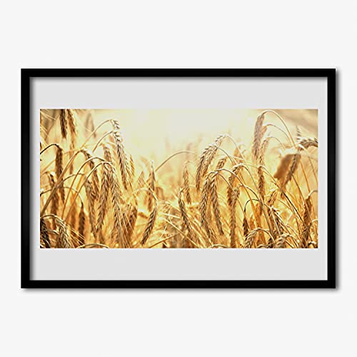 Affiche encadrée 70x50 cm champ de céréales pour décoration murale Tulup