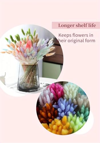 Pampas Grass Decor Tall 60Pcs Flores Secas Decorativas miniatura 5