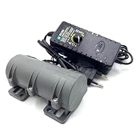 3800 RPM Mini Vibrationsmotor, DIY Tragbarer Massagegerät Vibrationsmotor Ersatzteile Einstellbarer Energiesparender Elektrischer Vibrationsmotor für Massagebett und Stuhl (DC 24V 0.3A 6W)