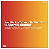 Besame Mucho (Picco Radio Edit)