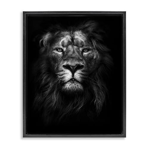 Stupell Industries 'Lion In Shadows Photography', Floating Frame Canvas Art, Black, 25 x 31 Inches, Easy to Hang and Sturdy, Made in USA, by Design Fabrikken by Stupell Industries - Used condition - US$77.76