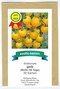Exotic-Samen Gelbe Wildtomate - 30 Samen