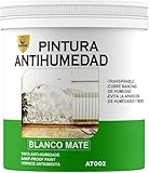 SPSIL Pintura Antihumedad Blanco Mate - Elimina y Previene Humedades y Moho - Para Paredes, Secado Rápido