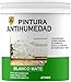 SPSIL Pintura Antihumedad Blanco Mate - Elimina y Previene Humedades y Moho - Para Paredes, Techos, Baños, Cocinas - Transpirable, Secado Rápido