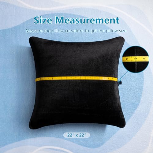 Image of AM AEROMAX 22 x22 Pillow Insert (Pack of 2) Memory Foam Throw Pillow Insert Sham Square for Decorative Cushion Bed Couch Sofa Without Deform After Longtime Use