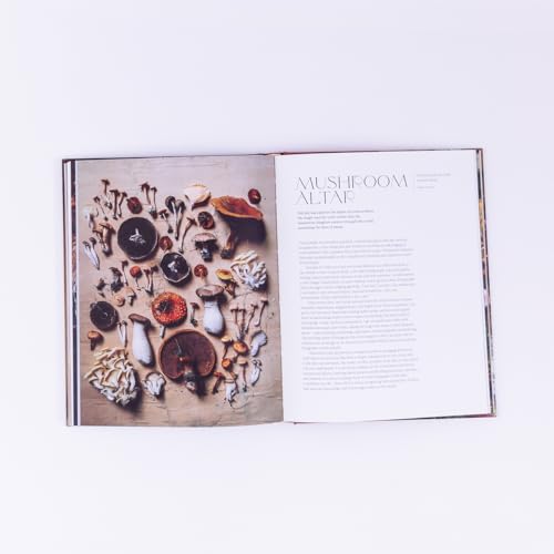 Flower Philosophy /anglais – vue 9