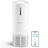 HomBreez Humidifier and Air Purifier in one for bedroom, H13 True HEPA Filter, Covers Up to 1073 ft², 2-in-1 with Sleep Mode, for Baby, Pet, Home, White