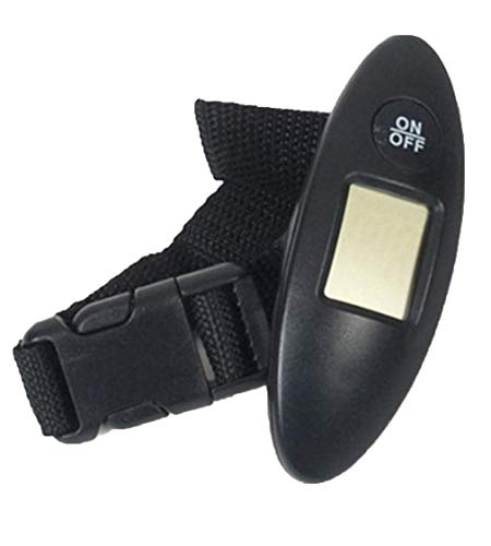 Balance de Voyage numérique 40gk Plastique Cover