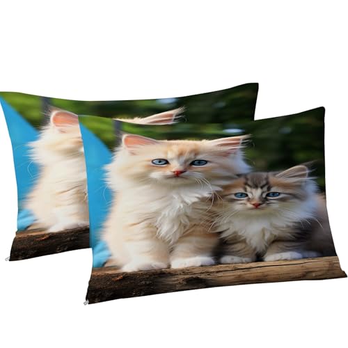 Housse de couette 240 x 260 chat des forêts finitions soignées en microfibre - 5