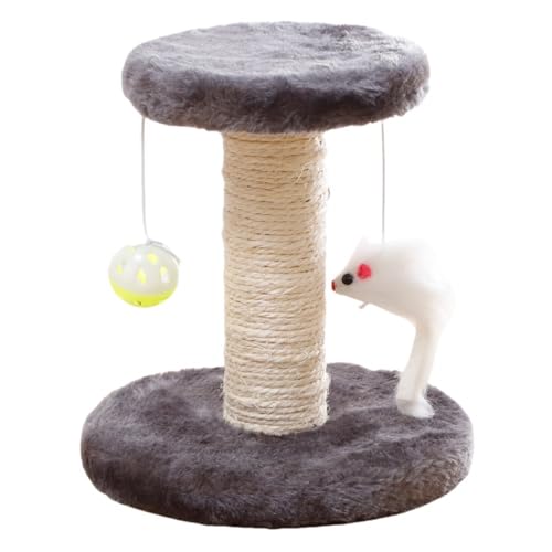 yDiexgiyzqL ܌ P[Wt Lbg^[ ݑ ^ L ^[ Lp`t Xebv u^ ܂Ƃ  RpNg S P[W T[N (O[)