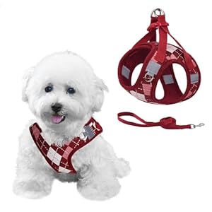 PawSailor Step in Dog Harness for Extra Small, Small Dogs Cats, No Pull Plaid Pattern Soft Padded Escape Proof Puppy Harness and Lead Set, Adjustable Reflective for Safe Walk Red XXS