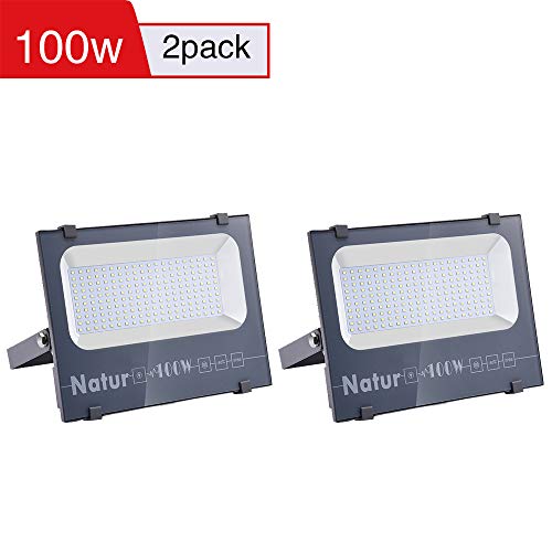 2 X 100W Natur LED Foco Exteriores 10000lm IP66 Impermeable Proyector Foco LED, Blanco Frío(6000K) Iluminación led de seguridad, luz led para patio, jardín, camino[Clase de eficiencia energética A++]