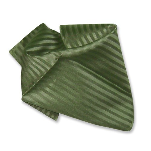 Vesuvio Napoli Men's Dress Vest & BOWTie OLIVE GREEN Color Vertical Striped Design Set4