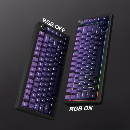 dagaladoo Keyboard keycaps Set, Double Shot PBT keycaps,Cherry Profile Custom Key caps 60 65 75 100 Percent for Cherry-mx Full Size Retro Mechanical Keyboard,Gradient Purple by dagaladoo - Image 8