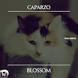 blossom paris menu  Blossom