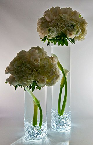 Image of Halloween Lights Submersible LED Lights cr2032 Battery Powered Underwater Waterproof LED Tea Light for Events Wedding Centerpieces Vase Floral Xmas Holidays Home Decor Lighting(Pack of 12) (White)