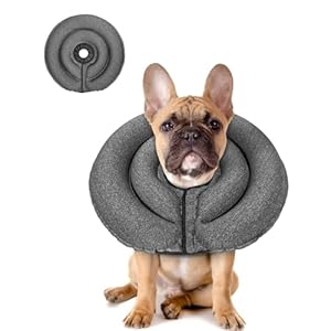 MIDOG Dog Cone Collar for Large Medium Dogs, Soft Inflatable Dog Cone Alternative After Surgery, Adjustable Protective Recovery Cone - Alternative E Collar Does Not Block Vision (Gray, M, Patented) MIDOG Dog Cone Collar for Large Medium Dogs Soft Inflatable Dog Cone Alternative After Surgery Adjustable Protective Recovery Cone Alternative E Collar Does Not Block Vision Gray M Patented