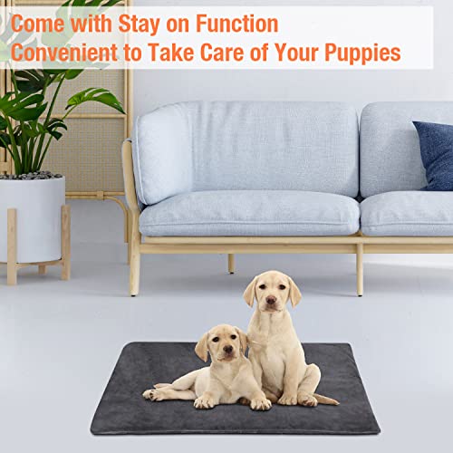 Enjoy Pet Dog Heating Pad, Pet Heating Pad With 12 Level Timer And Temperature, Indoor Pet Heating Pads For Cats Dogs With Chew Resistant Cord, Long-Time Working Electric Pet Heated Mat #TOP5