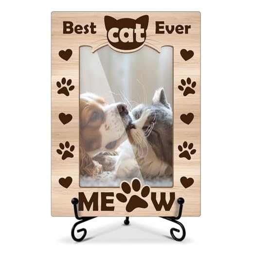 Qssfdgg Cat Picture Frame-Best Cat Ever, Meow Memorial Gifts for Pet Owner, 4x6 Photos Frame with Stand for Home Office Tabletop Display Decorations-17
