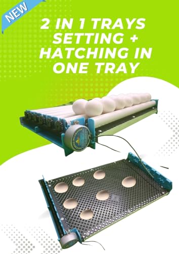 Image of Hatchpro ABS Plastic 90 Electric Eggs Turning Tray Automatic For Egg Incubator With Motor | Egg Turner Tray, Multicolor