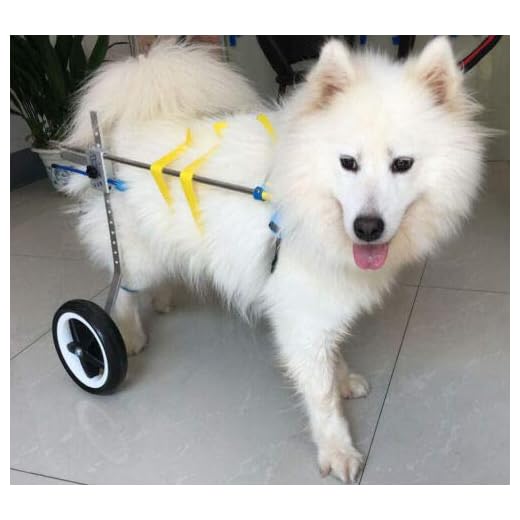 Adjustable Dog Pet Wheelchair, Hind Legs Rehabilitation, 7 Sizes (0-110lbs), Dog Cart,Wheels (4.M Size: Hip height16-20.5", Width:7.9"-12.2")