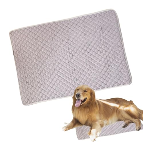 Tapis de glace portable pour animaux de compagnie idéal pour la plage et le voyage