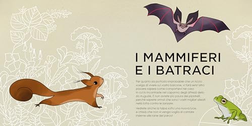 Conoscere E Proteggere La Piccola Fauna Urbana. Uccelli, Scoiattoli, Ricci, Api... - 8