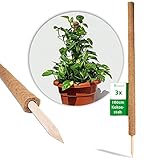 Novatool 3X Kokosstab für Pflanzen 110 cm I Ø 45mm I verlängerbar I natürlicher Kokosfaser I Rankstab Kokos für Monstera Pflanze Efeutute Moss Pole